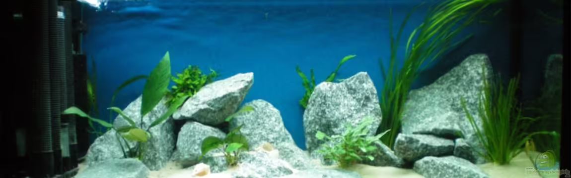 Becken 10978 von marco_0