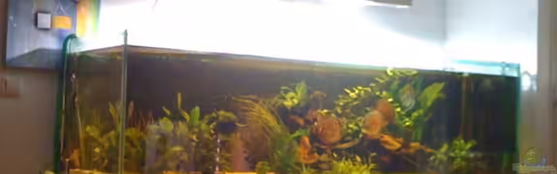 Becken 11026 von Andreas Binder