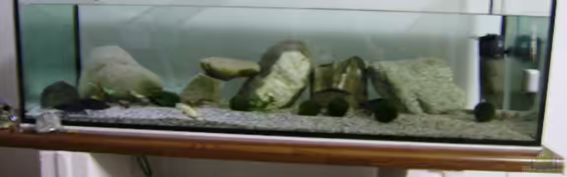 Becken 11035 von Michael Glaser