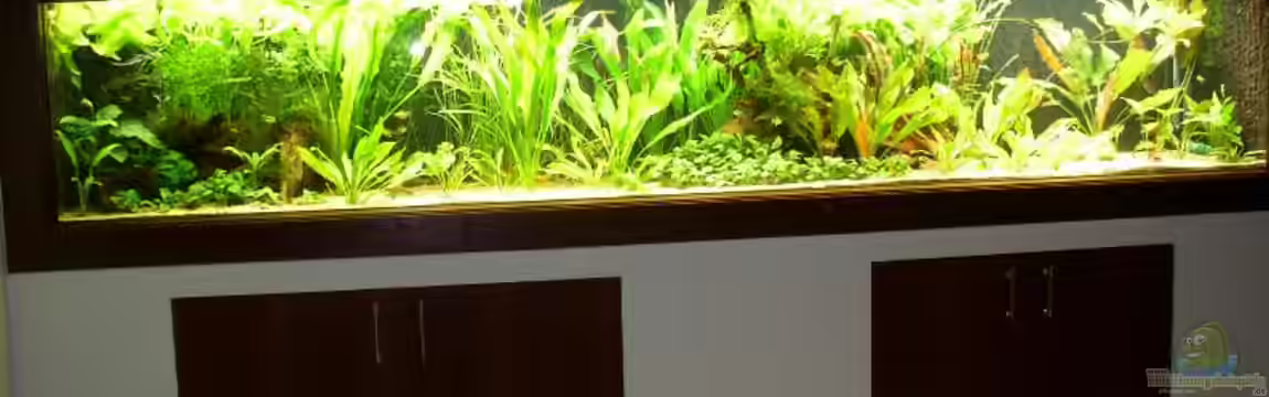 Becken 1105 von Uwe Krowiorsch