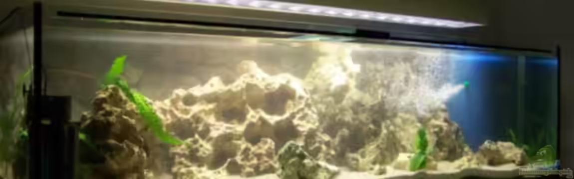 Becken 11069 von Andy Hurm