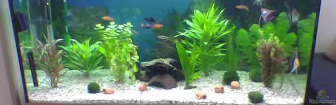 Becken 11096 von James Theunißen