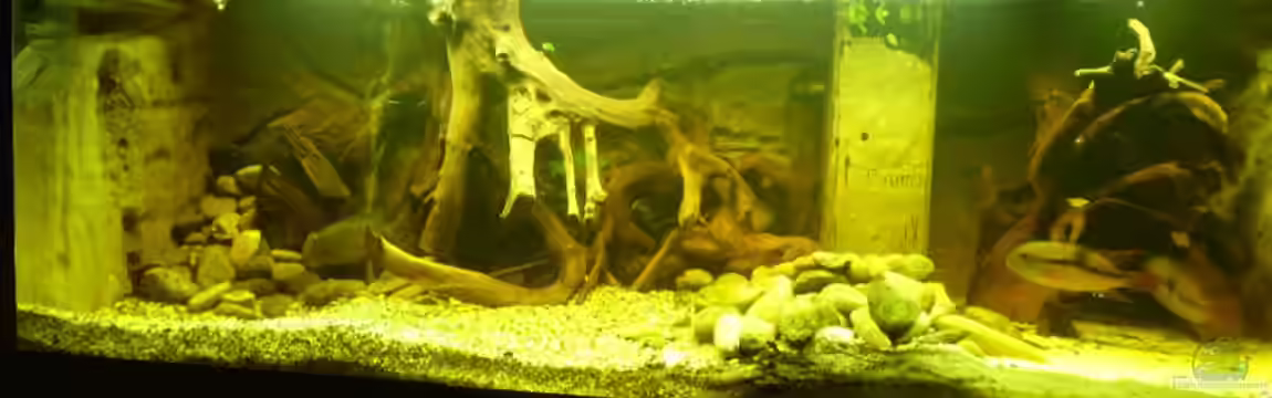 Becken 11122 von pfauenauge36