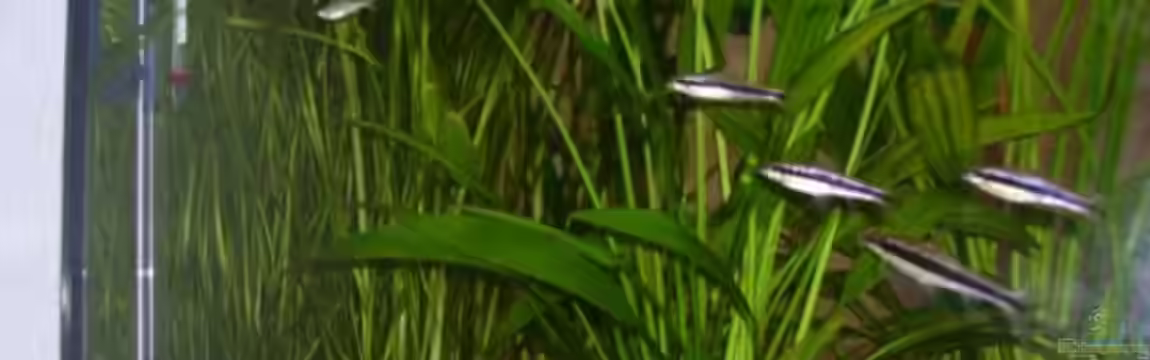 Becken 1122 von Marco Müller