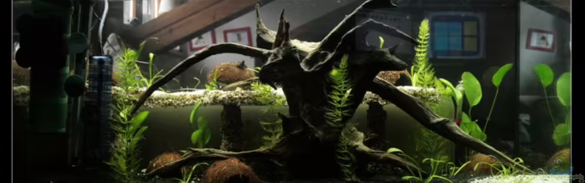 Becken 11222 von DaFishA