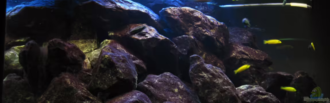 Becken 11223 von THORS10