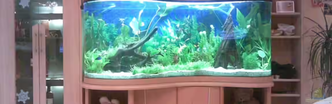 Becken 11404 von Nicolas Und Sabrina Riemann