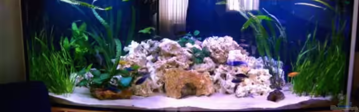 Becken 1144 von Katja Wilhelm