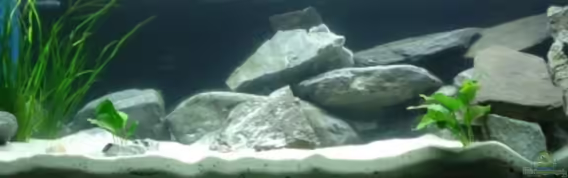 Becken 11440 von Robin Schmidt