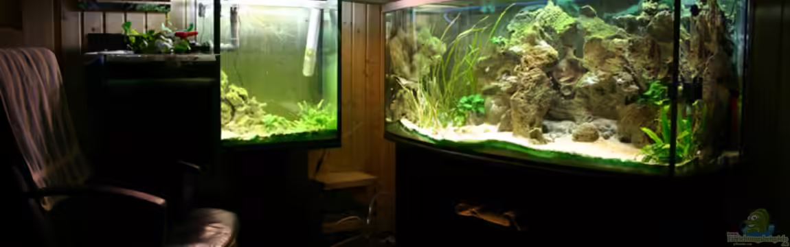 Becken 1145 von MaWin