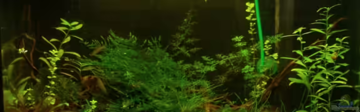 Becken 11458 von aetti