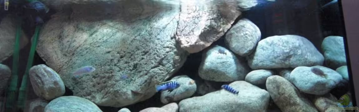 Becken 11465 von Andre Walz