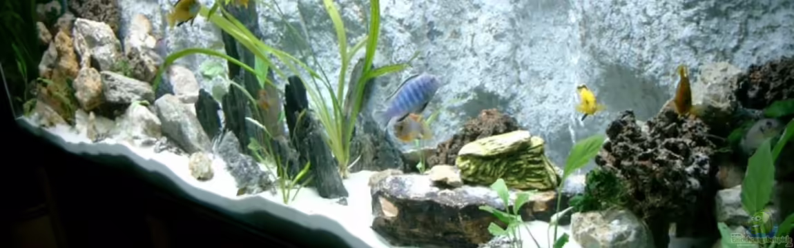 Becken 11481 von Hauy