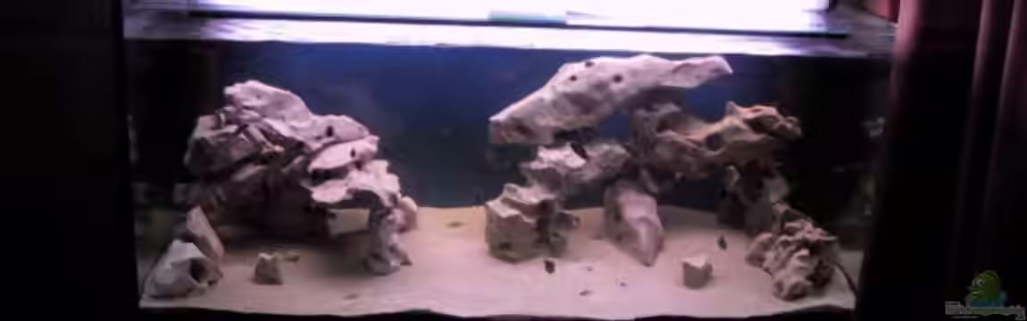 Becken 115 von Karsten Garn