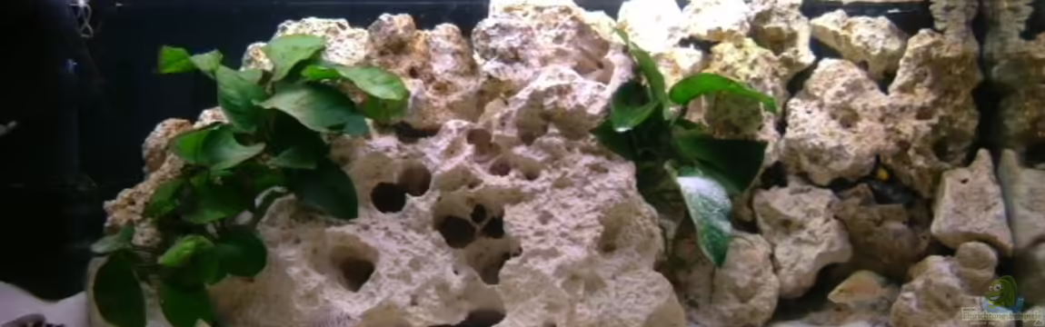 Becken 11517 von rotarydriver