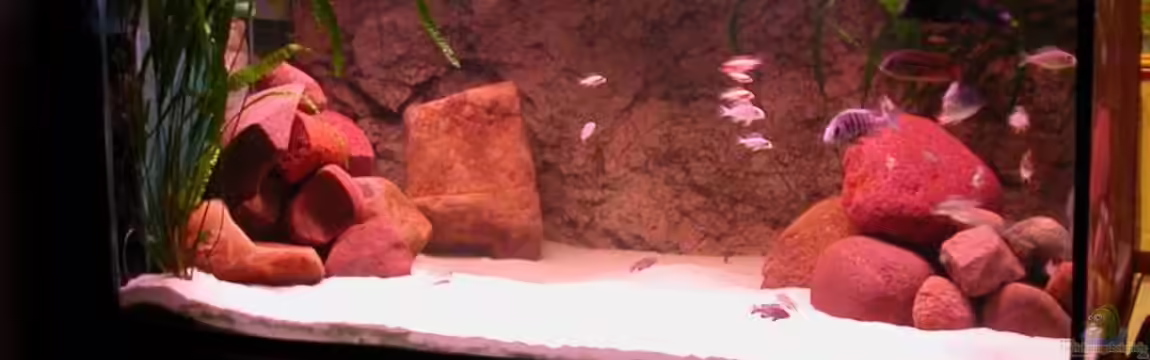 Becken 1152 von Lars Joergens