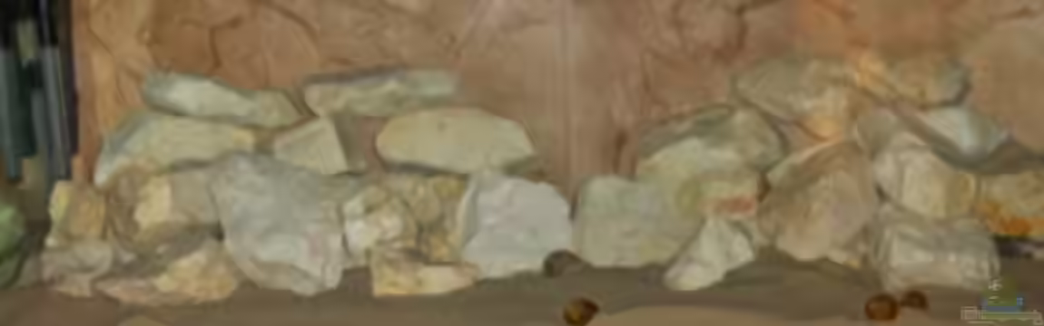 Becken 11539 von rhinshev