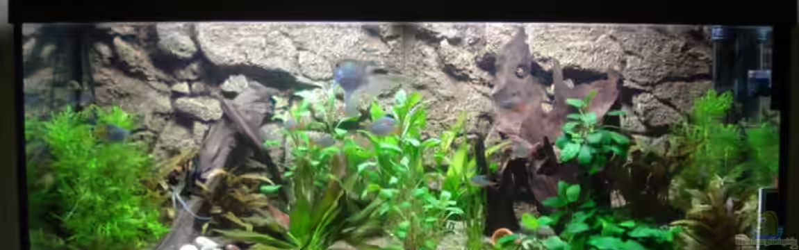 Becken 11557 von Marco Klein