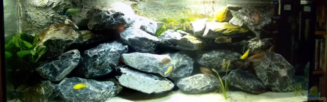 Becken 11628 von rolli174