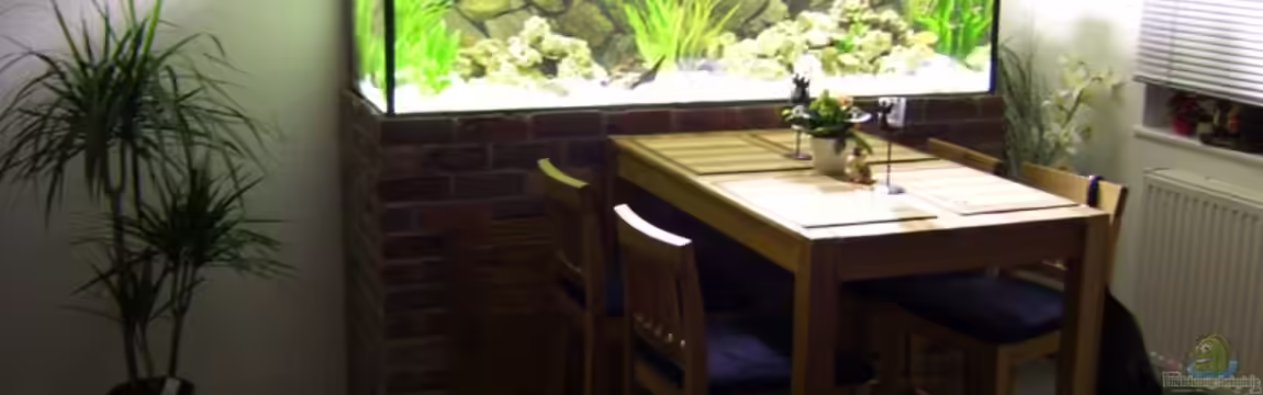 Becken 11633 von Daniel Tenner