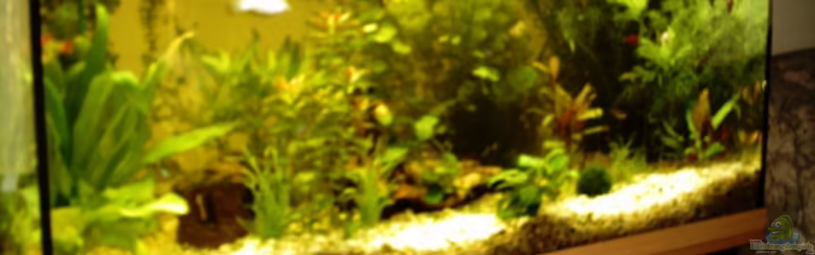 Becken 11639 von Christina Betz