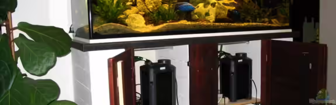 Becken 117 von Jürgen Baum