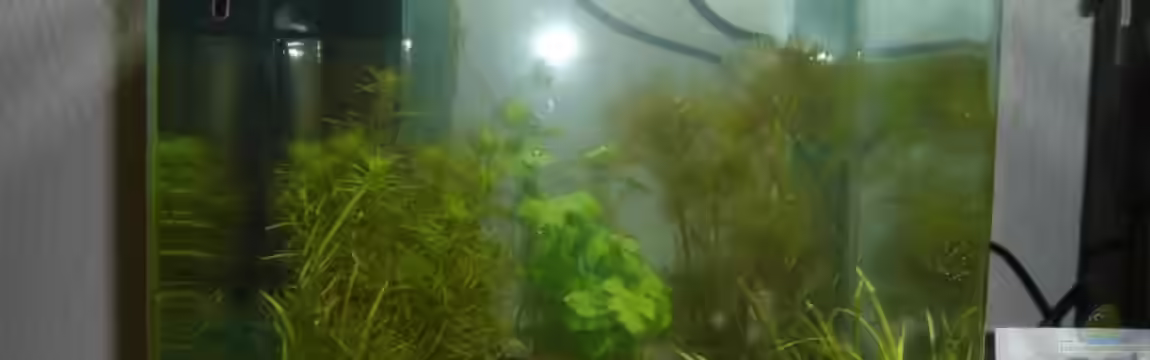 Becken 11712 von Herr11