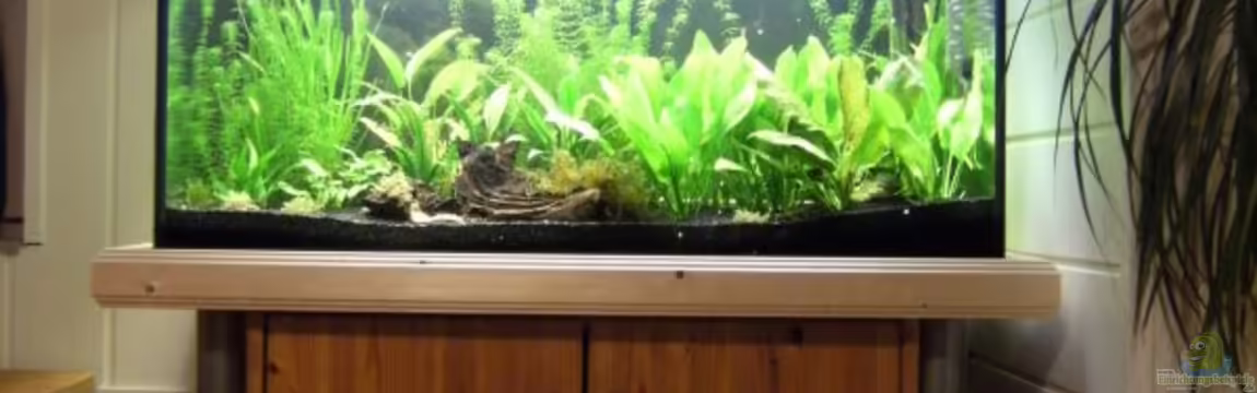 Becken 11723 von Olaf Amend