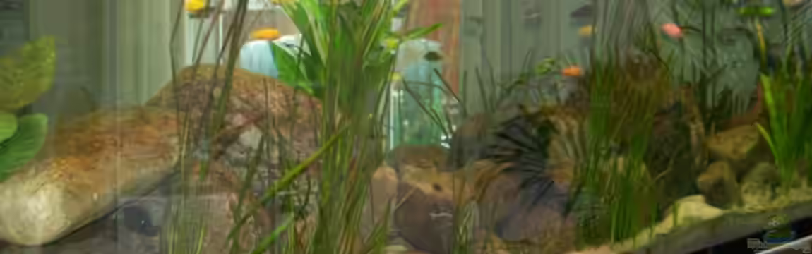 Becken 11773 von nilsuwesohn