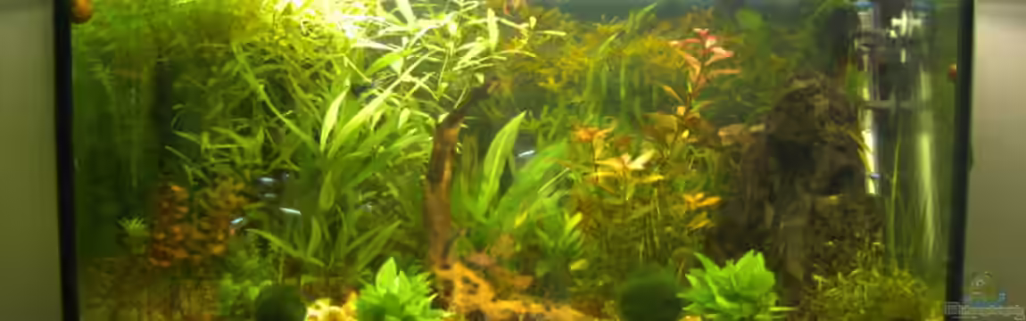 Becken 11830 von MarcelS