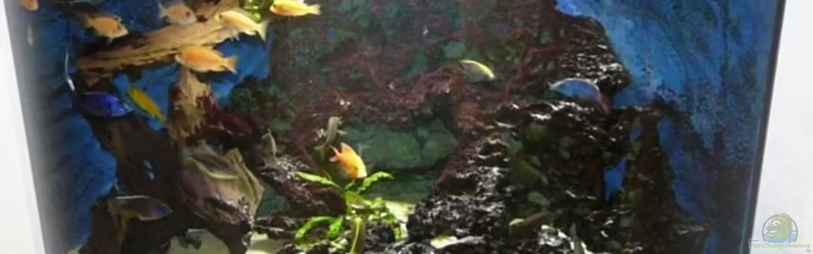 Becken 11876 von Andreas Gorr