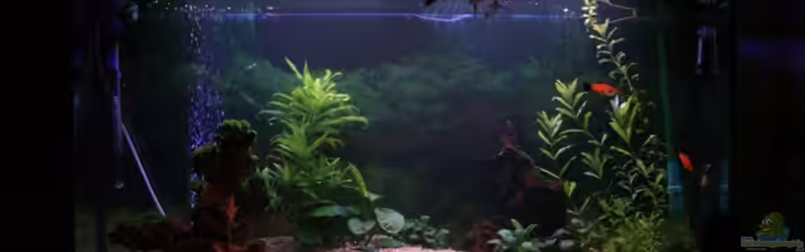 Becken 11877 von Legolas_84