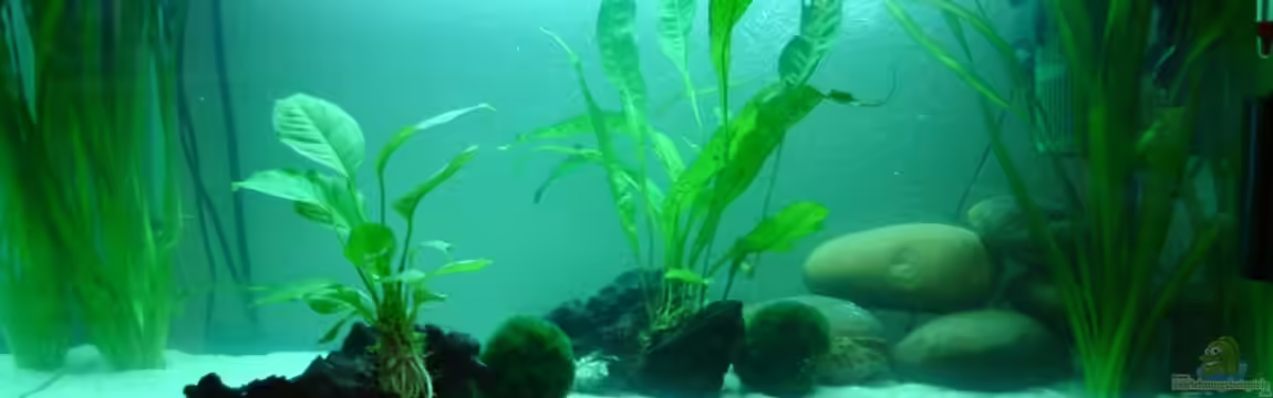 Becken 11951 von Sound