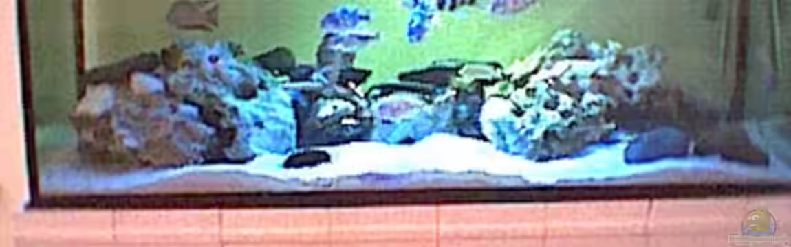 Becken 12 von Georg Philipp Schwarz