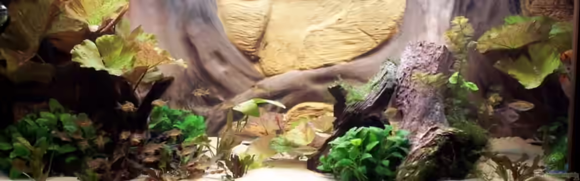 Becken 12050 von cupra2009