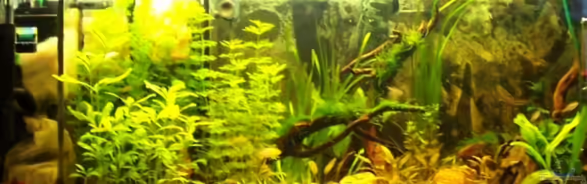 Becken 12062 von Timo Göhl