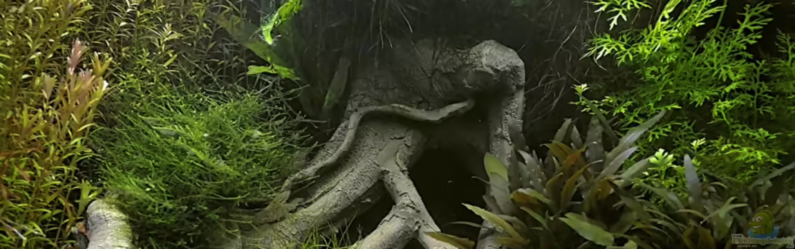 Becken 12143 von Matthias Funke