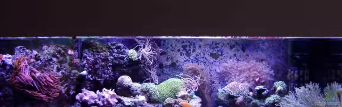 Becken 12156 von Manuel Saßenberg