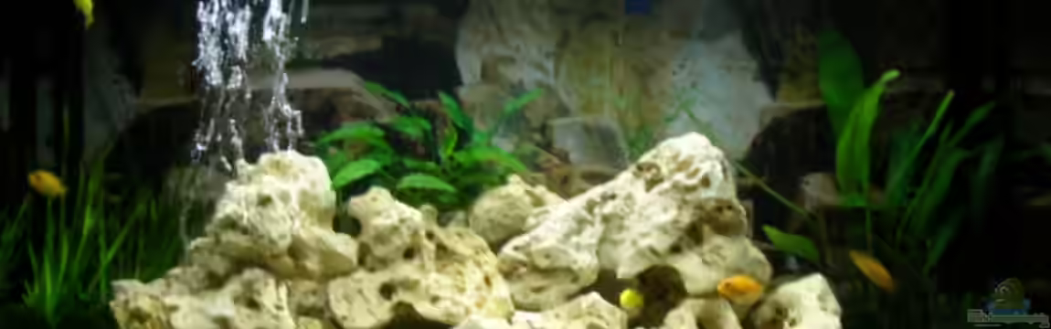 Becken 12208 von Michael =)