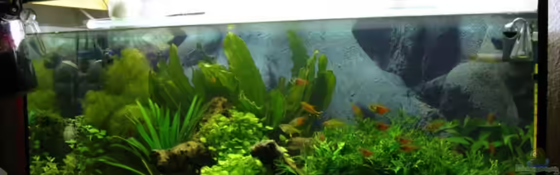 Becken 1223 von Daniel Pohlabeln