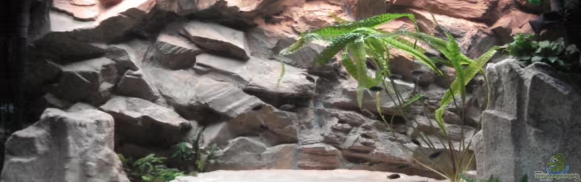 Becken 12231 von LuckyHimself