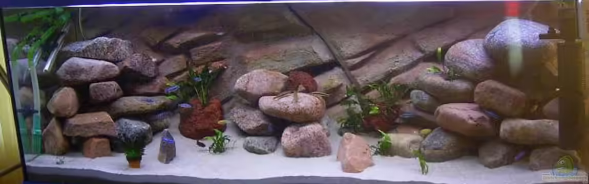 Becken 1230 von Torsten Krohn