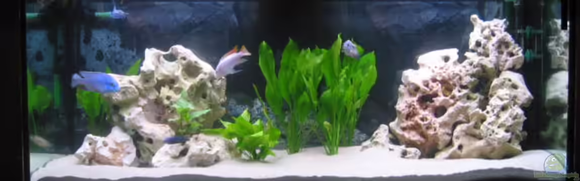 Becken 1231 von fhaav1