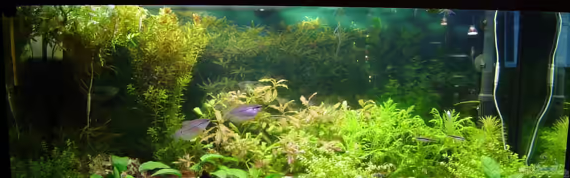 Becken 1235 von Sascha Suehrig