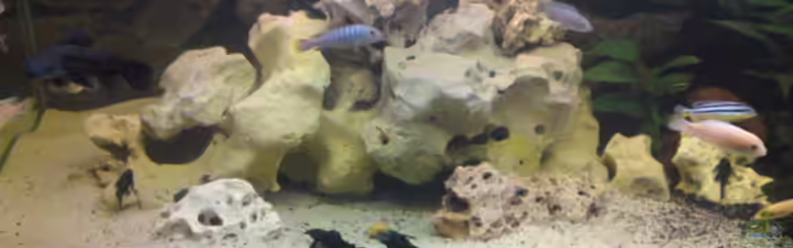 Becken 12455 von Stefan Brengel