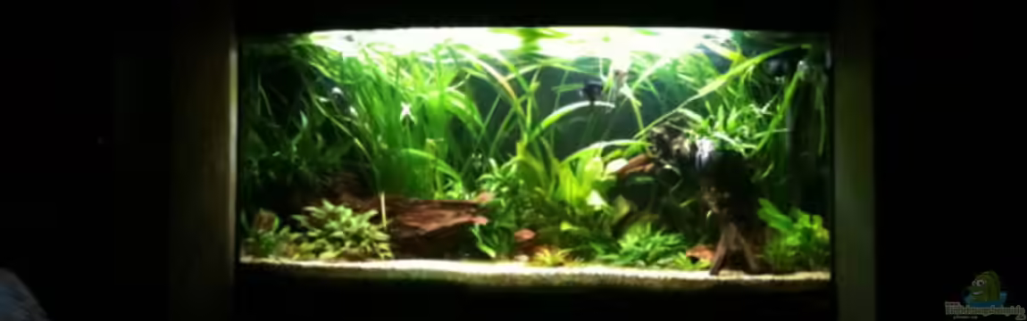 Becken 12464 von onil