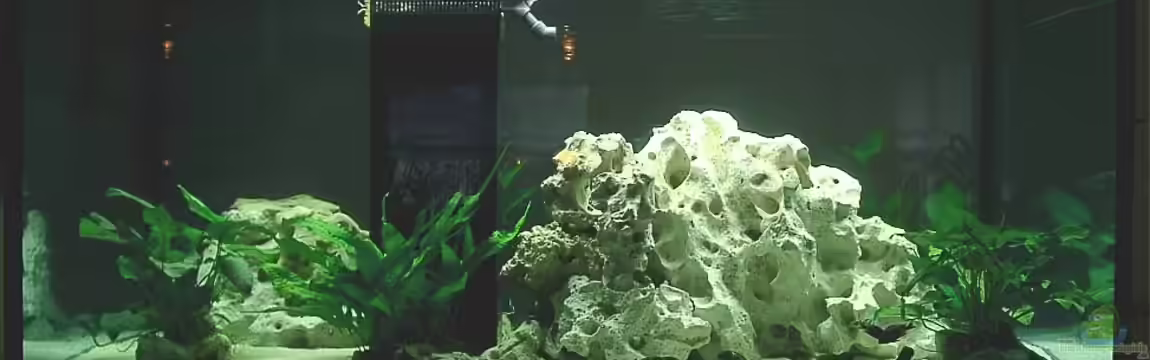 Becken 125 von Stefan Glaab