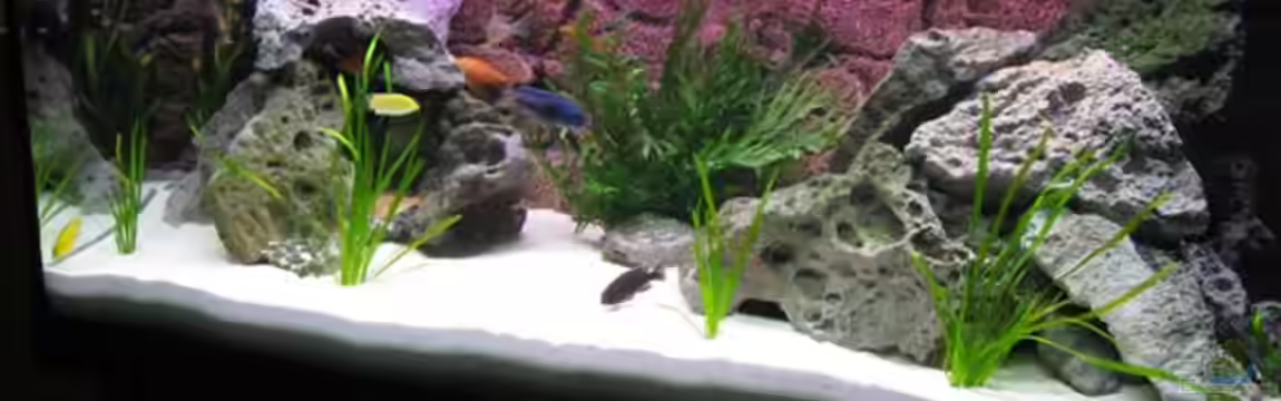 Becken 12520 von Heimo