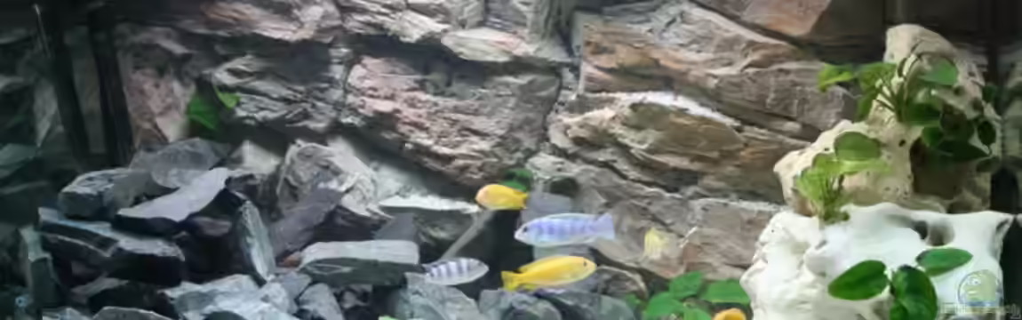 Becken 12778 von Christian Both