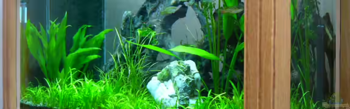 Becken 1279 von Oliver Gursky